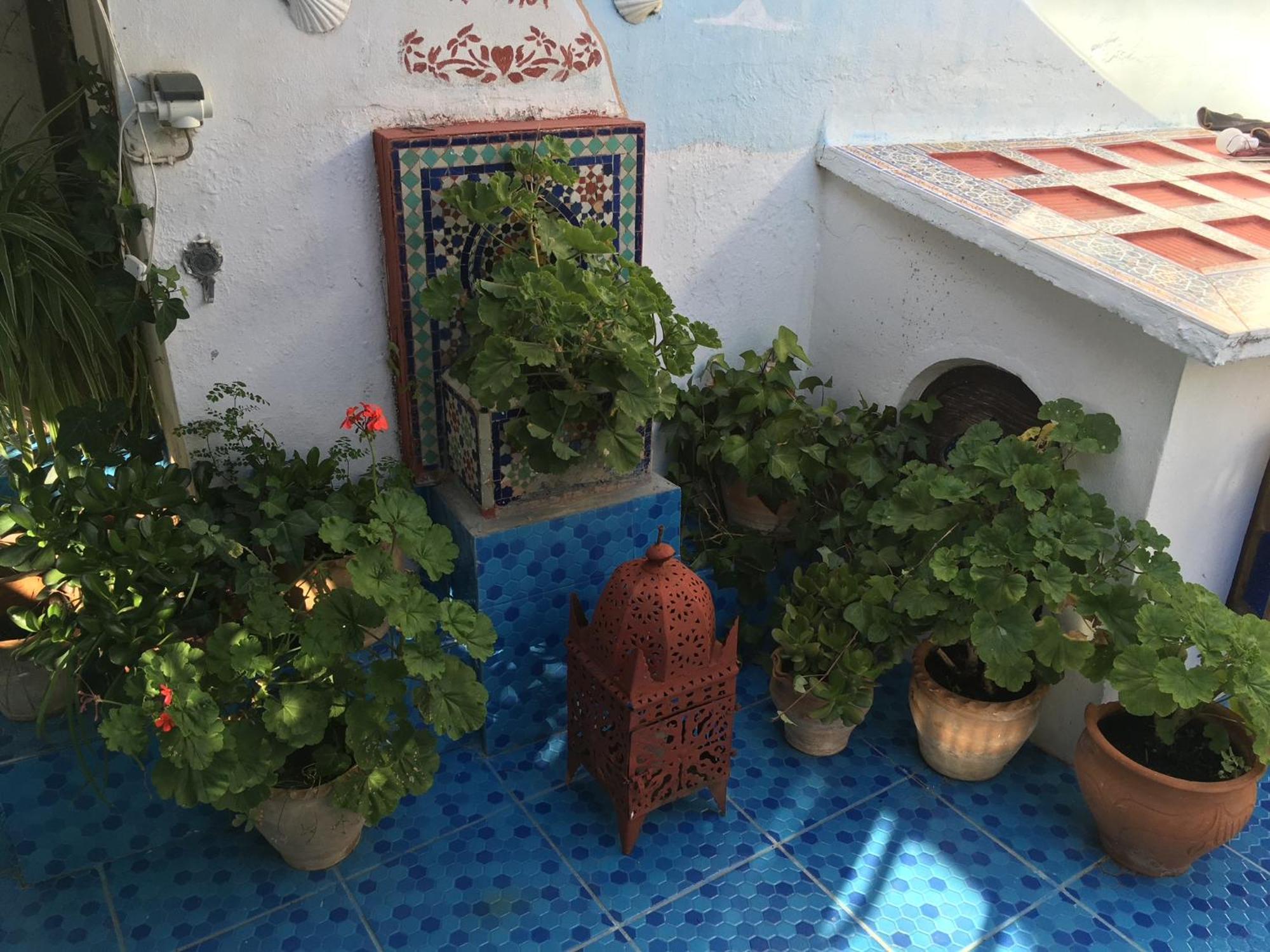 HATHOR ,Casa marroquí con dos terrazas en la Medina antigua , ideal parejas!! Asilah Exterior foto